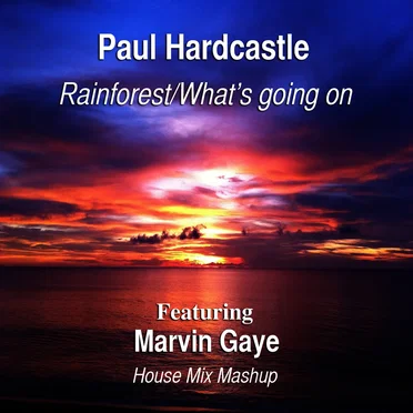 Rainforest/What's Going On (House Mix Mashup) by Paul Hardcastle - album cover