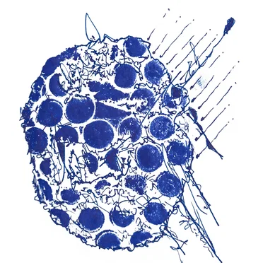lobazox