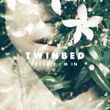 Trouble I’m In by Twinbed - album cover