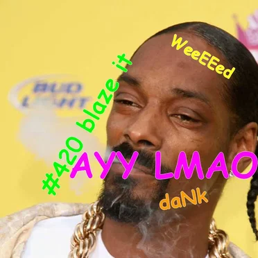 Mr. Snoopman by MC Fresh Dawg 3000 - album cover