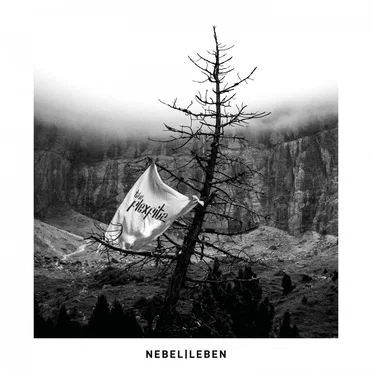 Nebel Leben by The Flexfitz - album cover