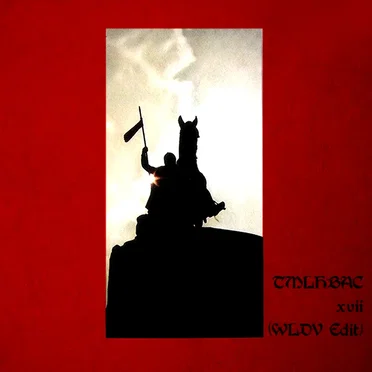 xvii (WLDV edit) by The Moon lay hidden beneath a Cloud - album cover