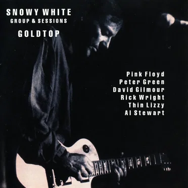 Goldtop: Groups & Sessions 1974–1994