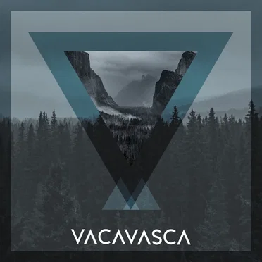 Falsa Realidad by VACAVASCA - album cover