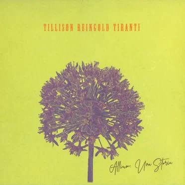 Allium: Una storia by Tillison Reingold Tiranti - album cover