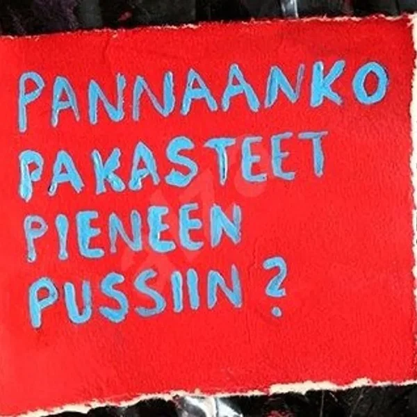 Pannaanko pakasteet pieneen pussiin?