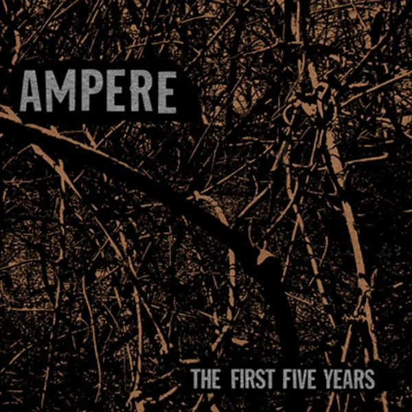 The First Five Years