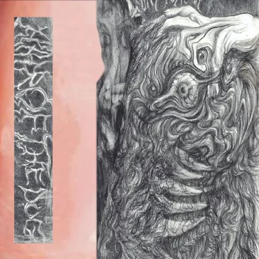 Hair of the Dog by Various Artists - album cover