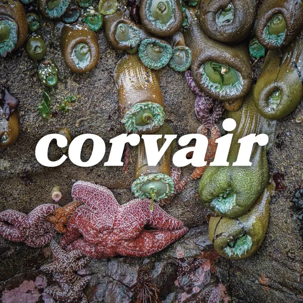 Corvair