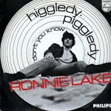 Higgledy-Piggledy