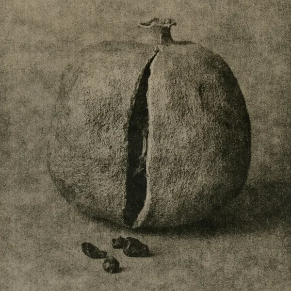 Split EP