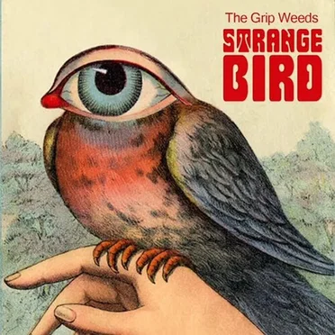 Strange Bird by The Grip Weeds - album cover