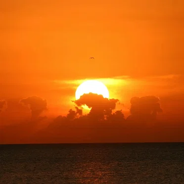Good Morning Sunshine: Uplifting Piano Playlist