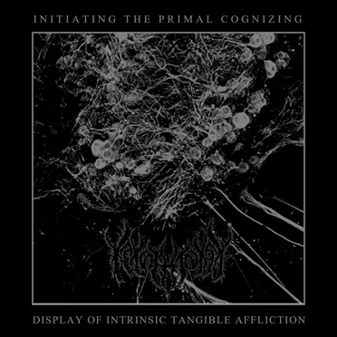 Initiating the Primal Cognizing Display of Intrinsic Tangible Affliction by Kakothanasy - album cover