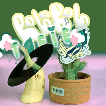 Say the Words (Shady Monk Remix)