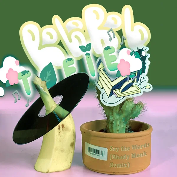 Say the Words (Shady Monk Remix)