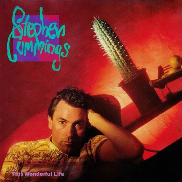 This Wonderful Life by Stephen Cummings - album cover