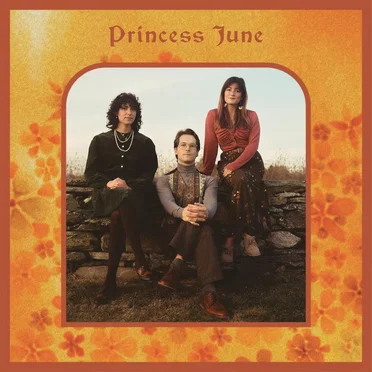 Beyond the Fence by Princess June - album cover