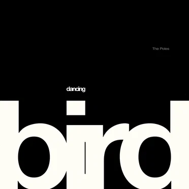 Dancing Bird