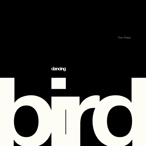 Dancing Bird