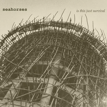 Seahorses