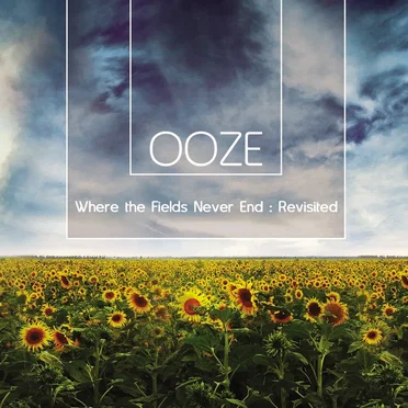 Where the Fields Never End : Revisited