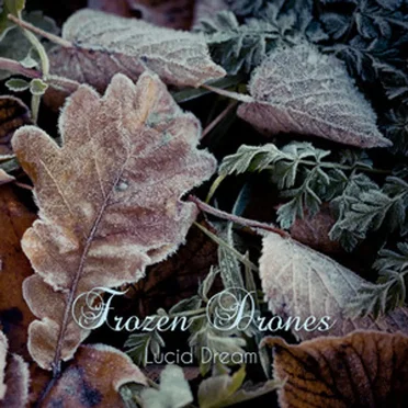 Lucid Dream by Frozen Drones - album cover