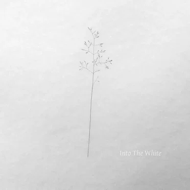 Into the White (The New Year 2016 free compilation) by Various Artists - album cover