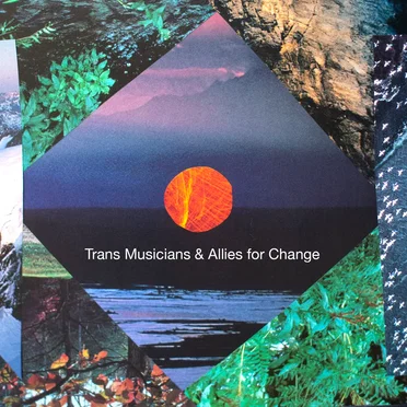 Trans Musicians & Allies for Change by Various Artists - album cover