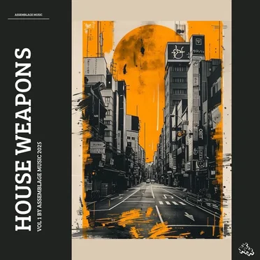 House Weapons 2025 by Various Artists - album cover