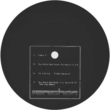 You Know How Much You Mean to Me by Vanisher - album cover