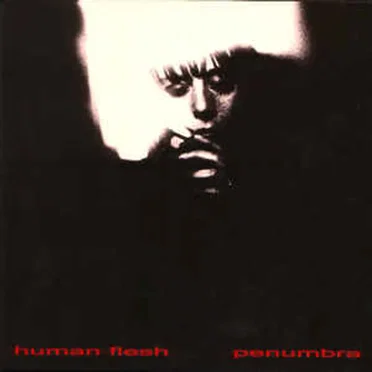 Penumbra by Human Flesh - album cover