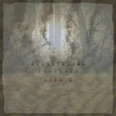 Kenopsia