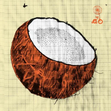 Meio que tudo é um by Apanhador Só - album cover
