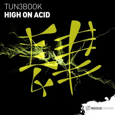 High On Acid by TUN3BOOK - album cover