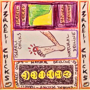 Natural Decline by Israeli Chicks - album cover