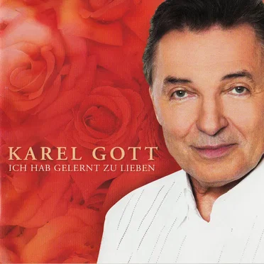 Ich hab gelernt zu lieben