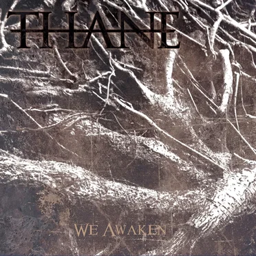 We Awaken by Thane - album cover