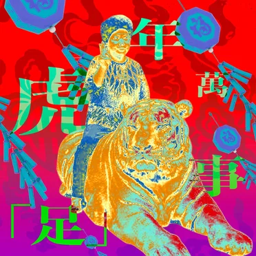 虎年萬事足 Tiger Tapping Feet by Various Artists - album cover