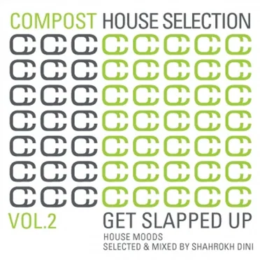 Compost House Selection, Volume 2: Get Slapped Up by Shahrokh Dini - album cover