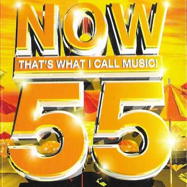 Now That’s What I Call Music! 55 by Various Artists - album cover