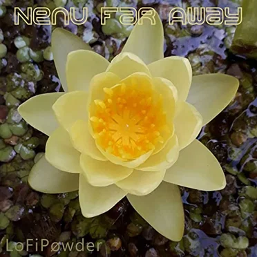 Nenu Far Away