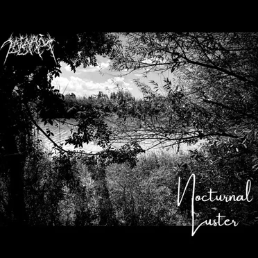 Nocturnal Luster by Zalaam - album cover
