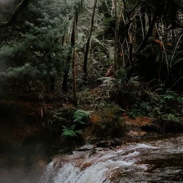 The Isolation Concerts, Volume 4