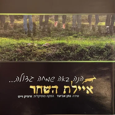 הנה באה שמחה גדולה -חלק 1 - להקת איילת השחר by להקת איילת השחר - album cover