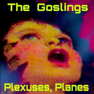 Plexuses, Planes