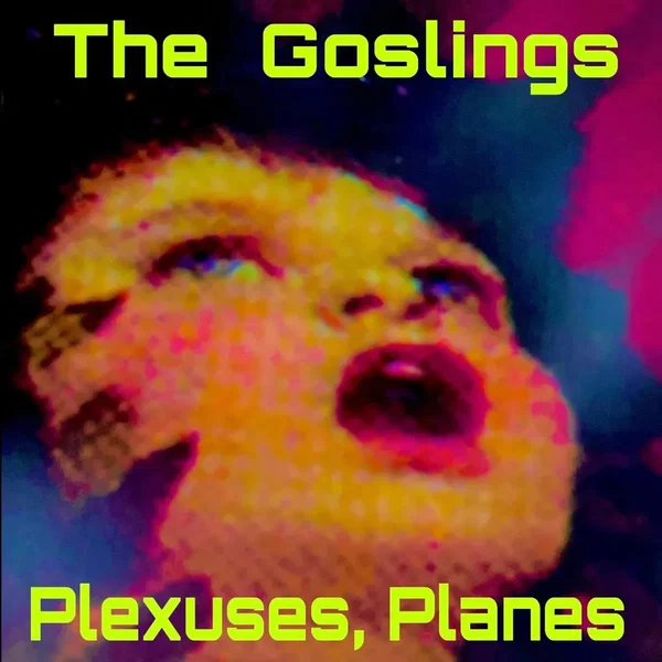 Plexuses, Planes