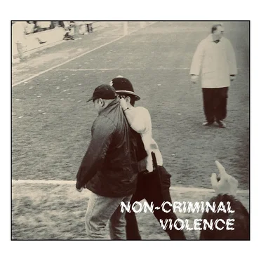 Non-Criminal Violence