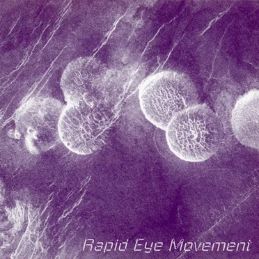Rapid Eye Movement by Various Artists - album cover