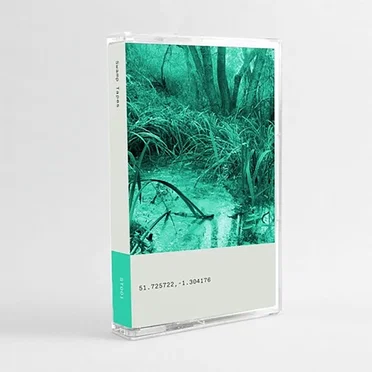 Swamp Tapes Volume 1 by Various Artists - album cover